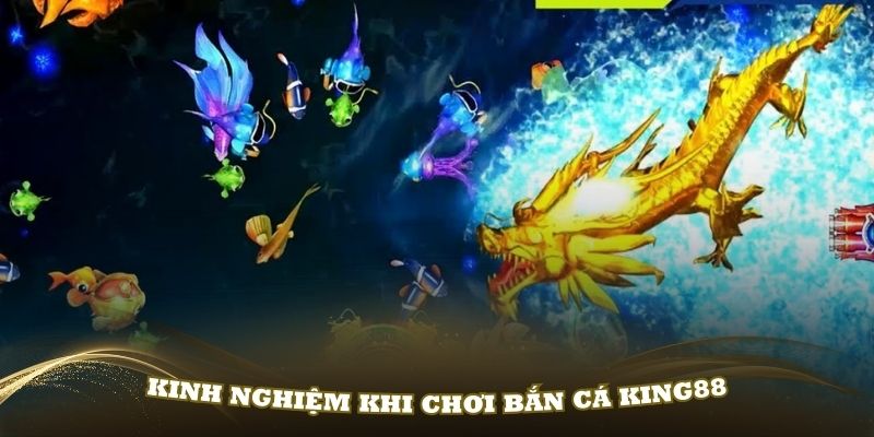 Kinh nghiệm khi chơi bắn cá King88 đỉnh nhất