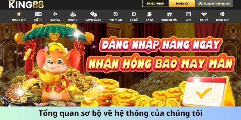 Tổng quan sơ bộ về hệ thống của chúng tôi